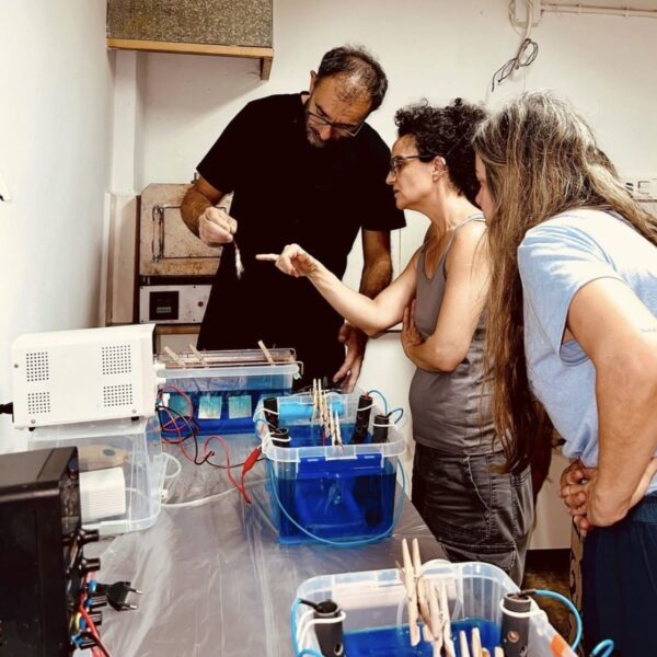 Screenshot Intensivo fin de semana: Electroforming