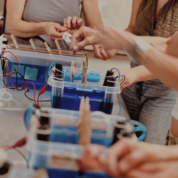 Screenshot Intensivo fin de semana: Electroforming