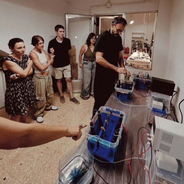 Screenshot Intensivo fin de semana: Electroforming