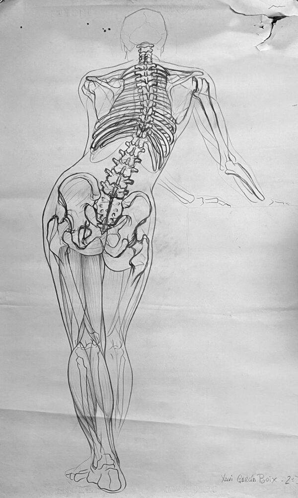 Clases trimestrales de Dibujo