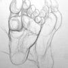 Clases trimestrales de Dibujo