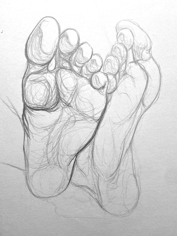 Clases trimestrales de Dibujo